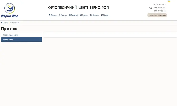 Terno-Top website before redesign
